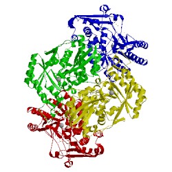 Image of CATH 4ggh