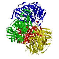 Image of CATH 4ghh