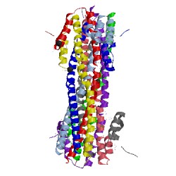 Image of CATH 4gjw