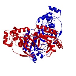 Image of CATH 4glw