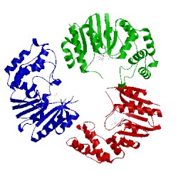 Image of CATH 4gol