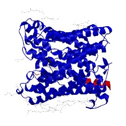 Image of CATH 4gp8