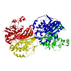 Image of CATH 4h1i