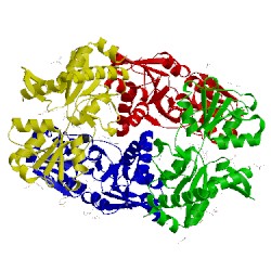 Image of CATH 4h5f