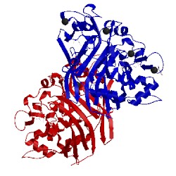 Image of CATH 4hap