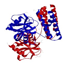 Image of CATH 4hfq