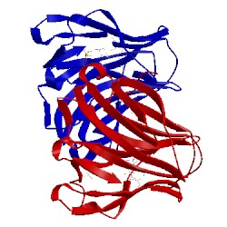 Image of CATH 4hfs