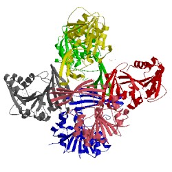 Image of CATH 4hgy