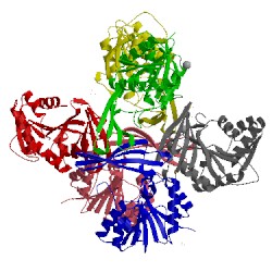 Image of CATH 4hgz