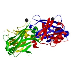 Image of CATH 4hit