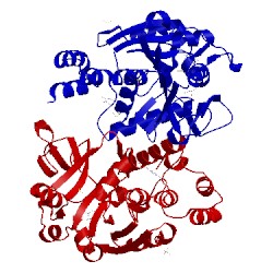 Image of CATH 4ho4