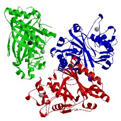 Image of CATH 4hov