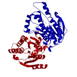 Image of CATH 4hp8