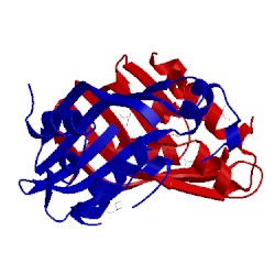 Image of CATH 4hvn