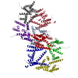 Image of CATH 4hyc