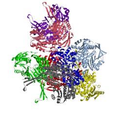 Image of CATH 4i3x