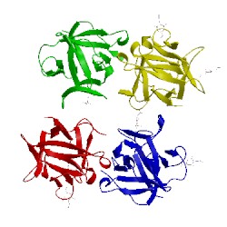 Image of CATH 4i4v