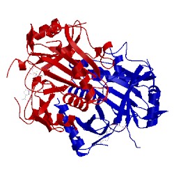 Image of CATH 4i5v