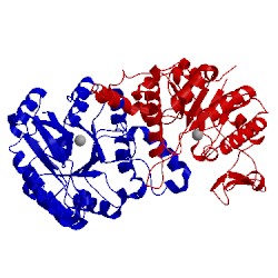 Image of CATH 4ifr