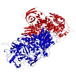 Image of CATH 4iih