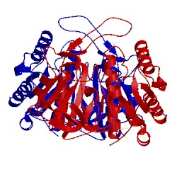 Image of CATH 4iix