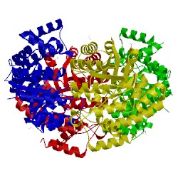 Image of CATH 4imc