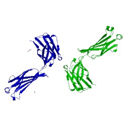 Image of CATH 4iml