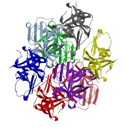 Image of CATH 4inh