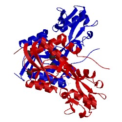 Image of CATH 4io2