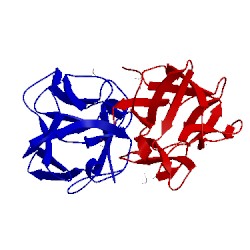 Image of CATH 4ion
