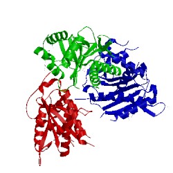 Image of CATH 4iox