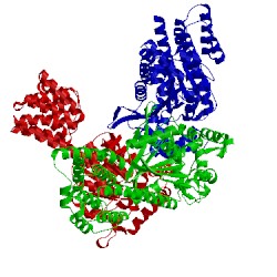 Image of CATH 4ivj