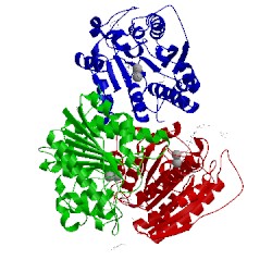 Image of CATH 4ixv