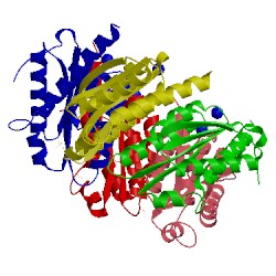 Image of CATH 4j07