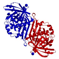 Image of CATH 4j9x