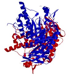 Image of CATH 4jfs