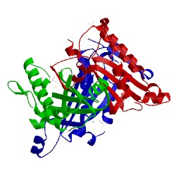 Image of CATH 4jj9