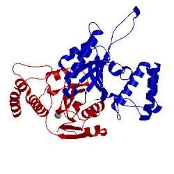 Image of CATH 4jkf