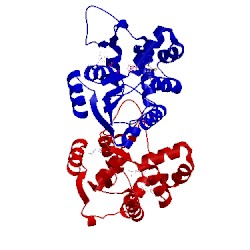 Image of CATH 4jl5