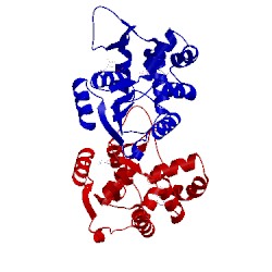 Image of CATH 4jlp