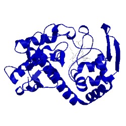 Image of CATH 4jms