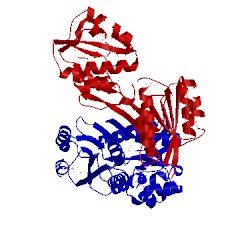 Image of CATH 4joq