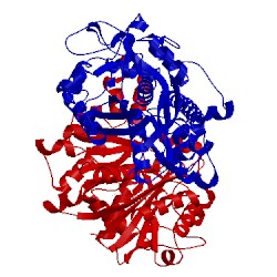 Image of CATH 4jrh