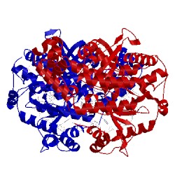 Image of CATH 4jrq