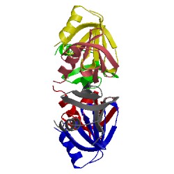 Image of CATH 4juv