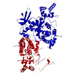 Image of CATH 4jw1