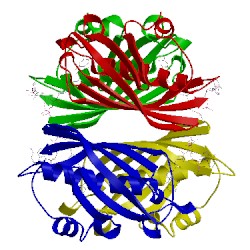 Image of CATH 4k49