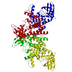 Image of CATH 4kbk