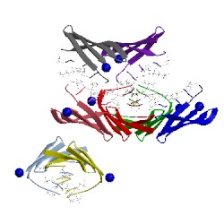 Image of CATH 4kgr