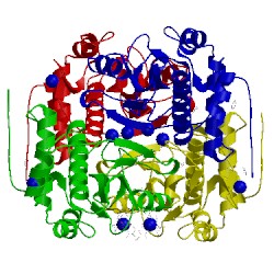 Image of CATH 4knl